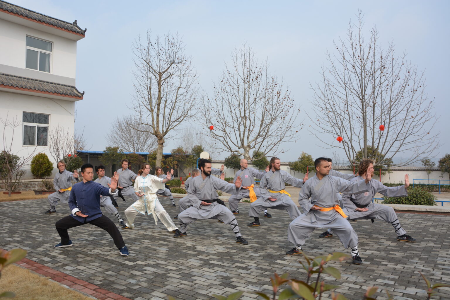 Fundamentos do Kung Fu técnicas e tradições para iniciantes Maling