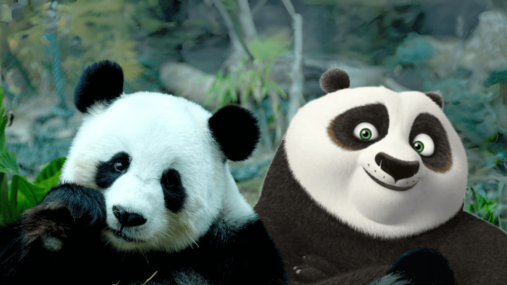 panda and po