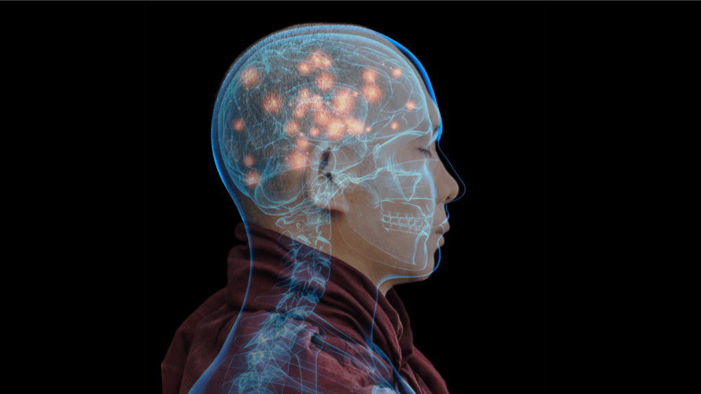 neurological activity in monk's brain 