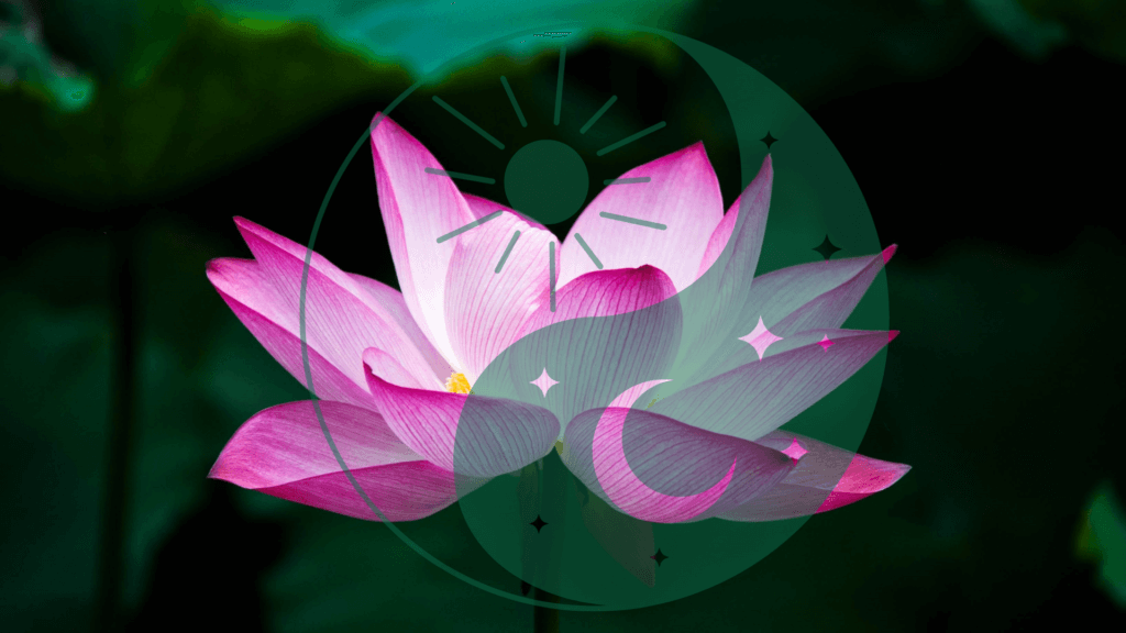 yin yang lotus