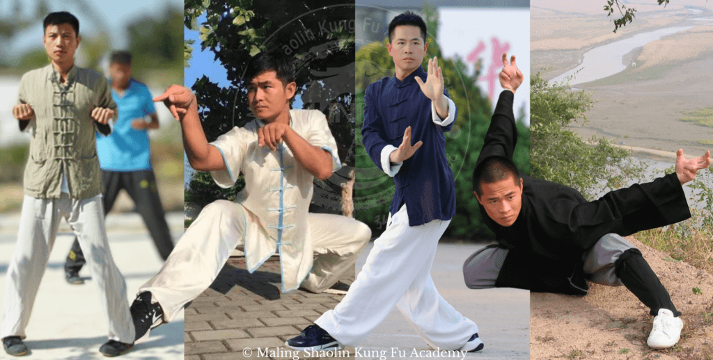 north vs south kung fu. masters demonstrating wing Chun, mantis, bagua, eagle