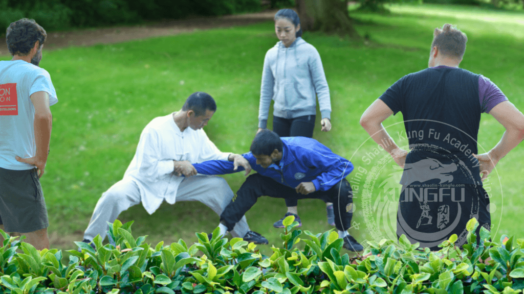 Master Bao demonstrating Qin Na to students in park