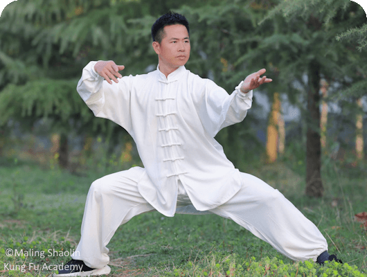 Master Bao of Maling Shaolin Kung Fu Academy in Tai Chi pose