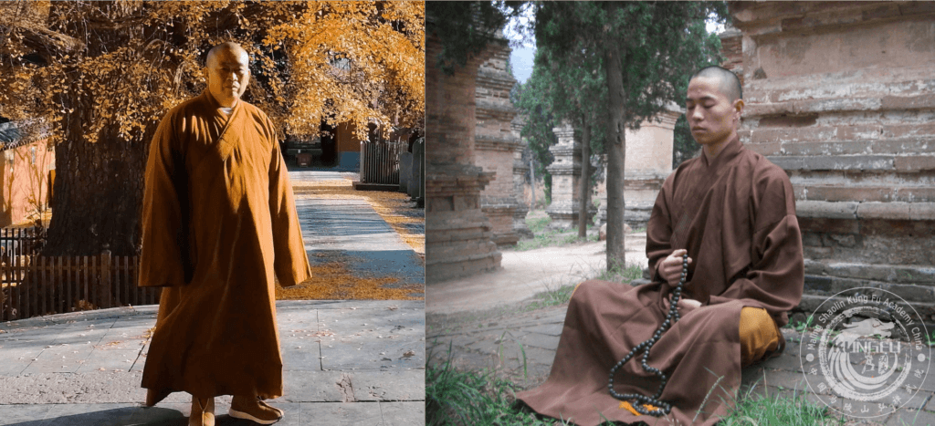 Brown Robes Buddhist and Warrior monks of the Shaolin Temple