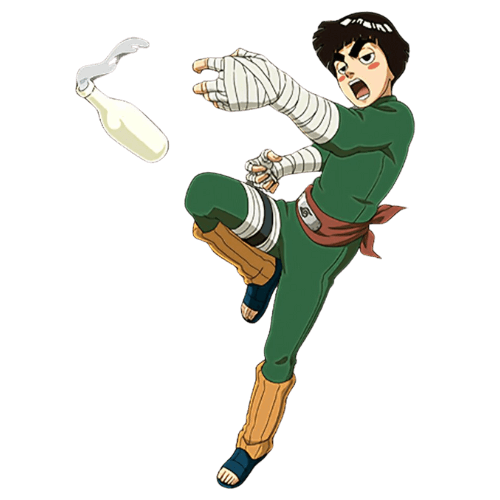 Rock Lee Drunken Fist