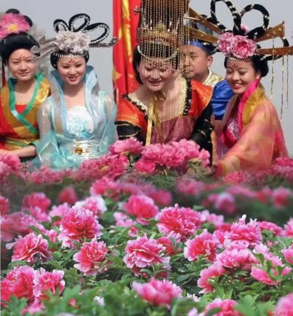 Luoyang peony festival