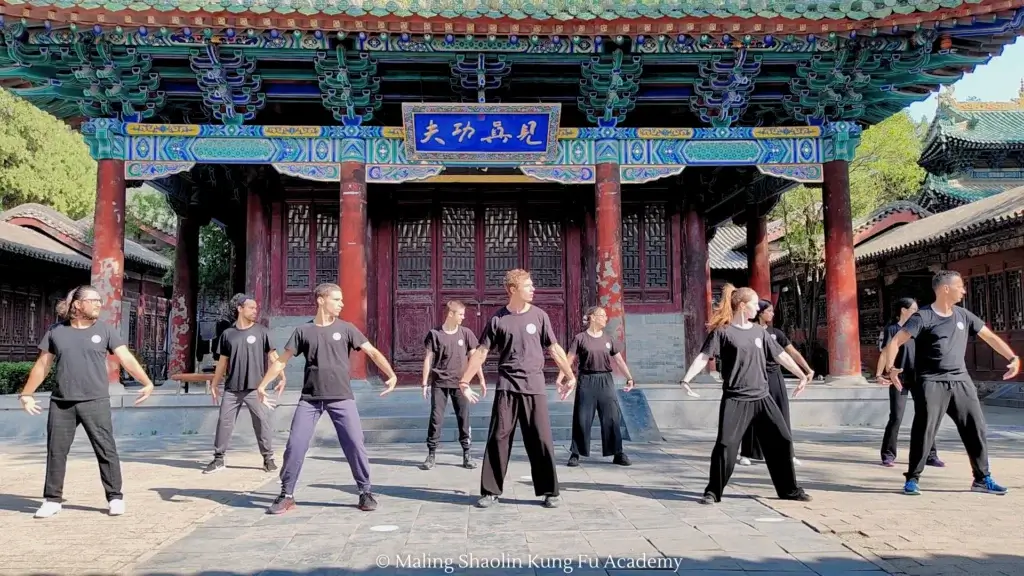 Maling students performing the Seven Star Fist for Grandmaster Shi De Yang at the Shaolin Temple