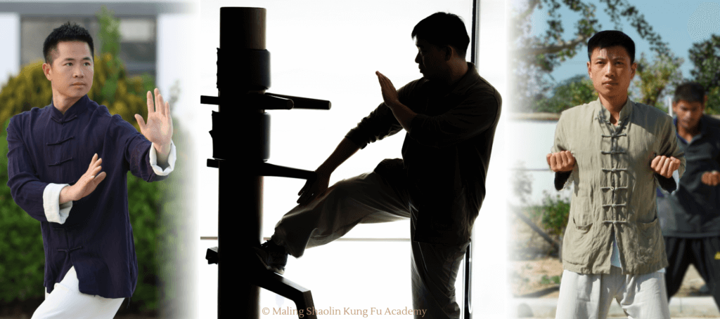 bagua and wing chun