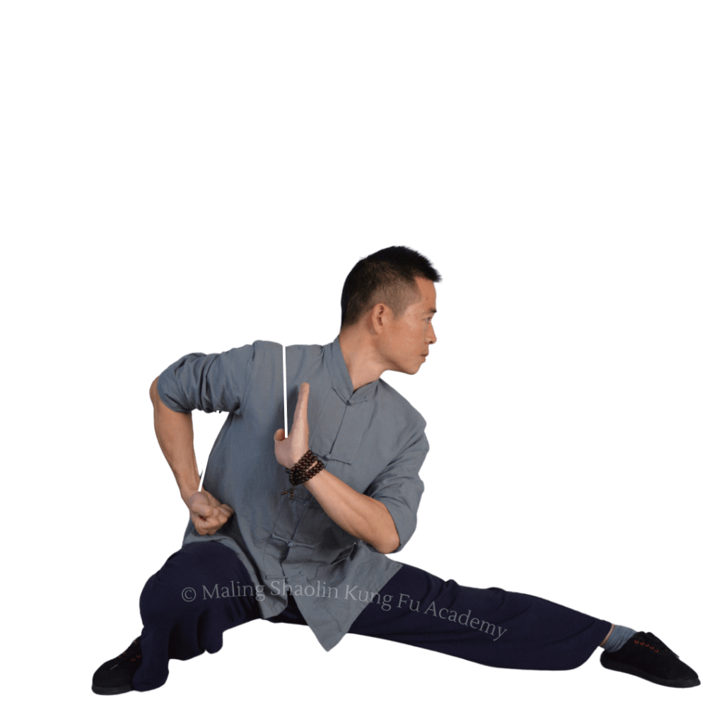 Demonstration of Pū Bù with text: Keep fist tucked at your side and other palm flat at chest.