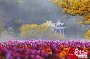 Malingshan Scenic Spot flowers and gazebo