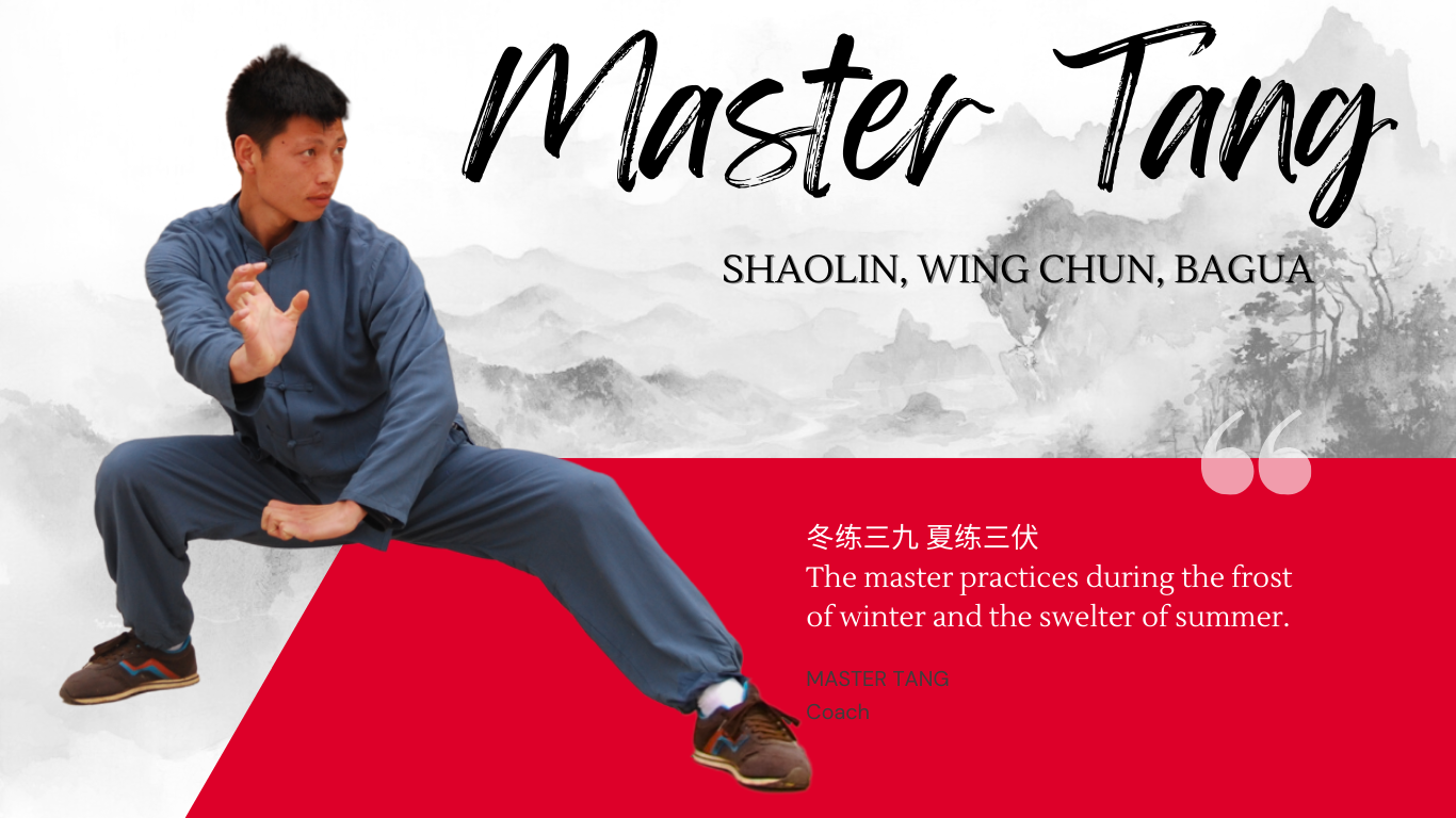 The Masters: Master Tang; Shaolin, Wing Chun, Bagua. 冬练三九 夏练三伏 The master practices during the frost of winter and the swelter of summer.