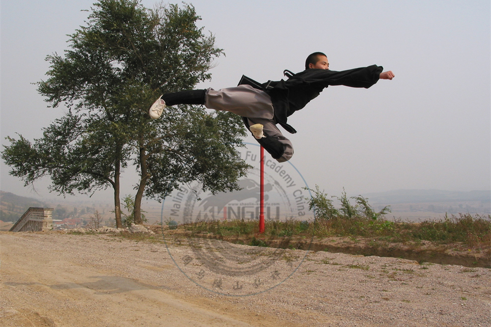 maser bao jumping high and performing a side punch-kick in the air