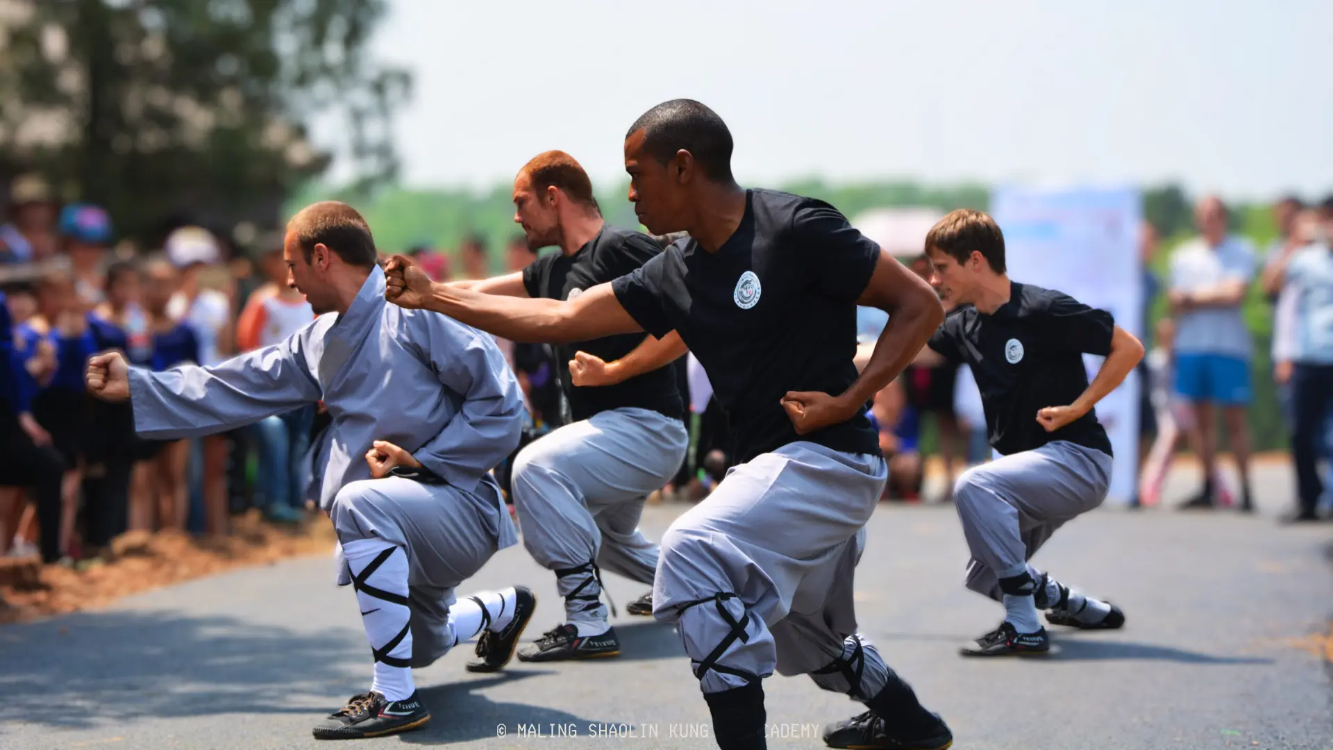 kungfu fundamentals student performance