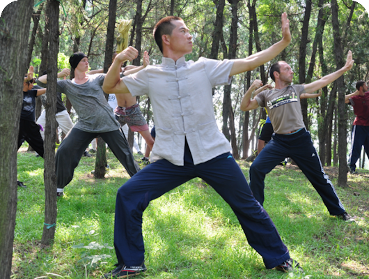 qigong forest exercises