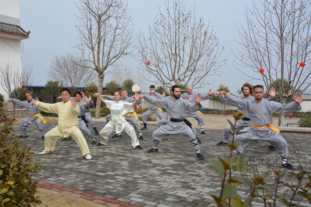 Tai Chi Maling Shaolin Kung Fu Academy