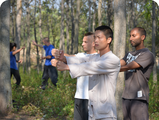 students and master practicing xingyi in forest