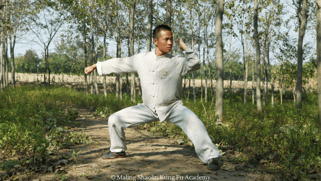 Baji: El arte feroz de los ocho extremos - Academia de Kung Fu Shaolin ...
