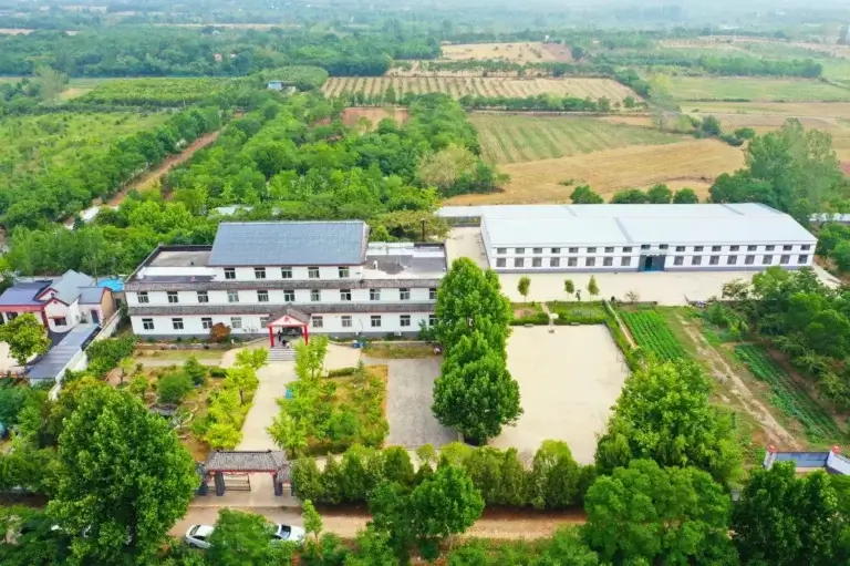 New School Aerial View