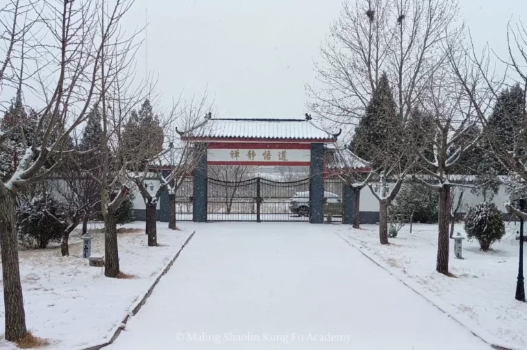 season pic winter snowy gate