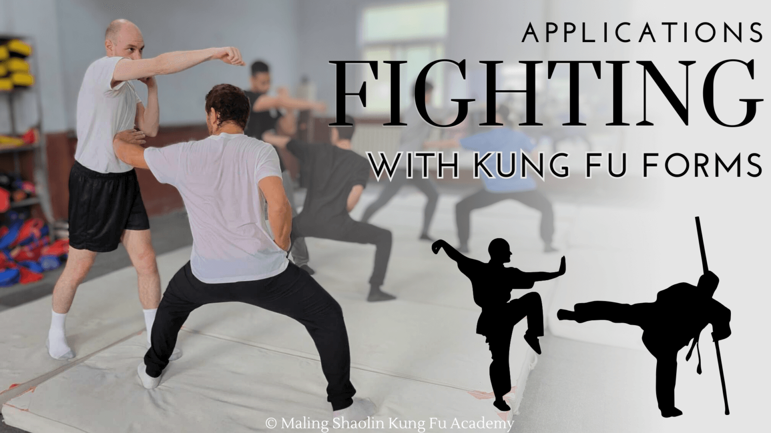 Learn Tiger Style Kung Fu Online Free Tiger Style Kung Fu: Power, Ferocity, and the Spirit of the Beast