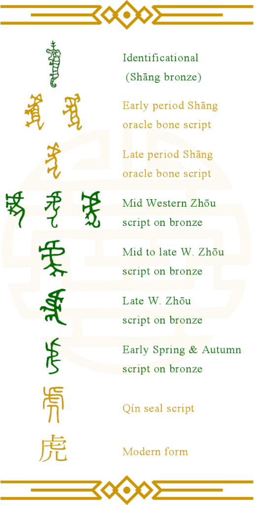 hǔ 虎 "tigre" de las inscripciones en bronce (en verde), en comparación con otras formas de escritura