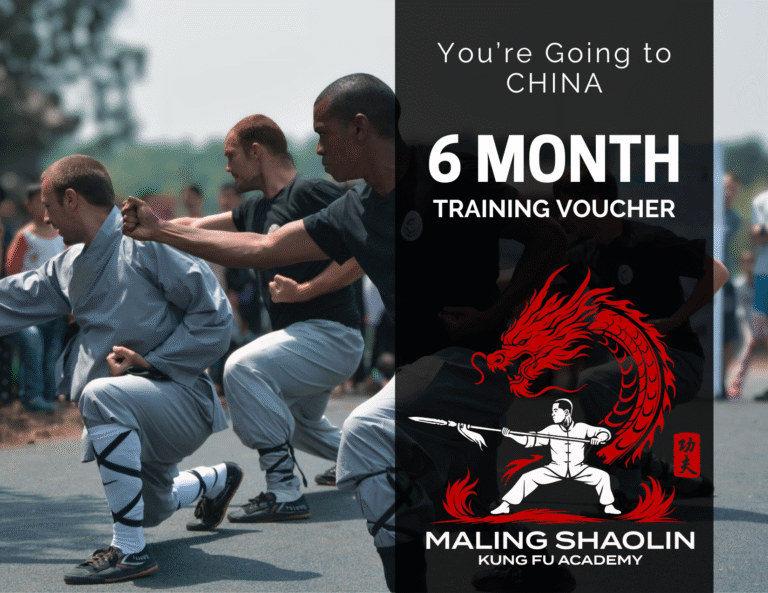 6 month training voucher