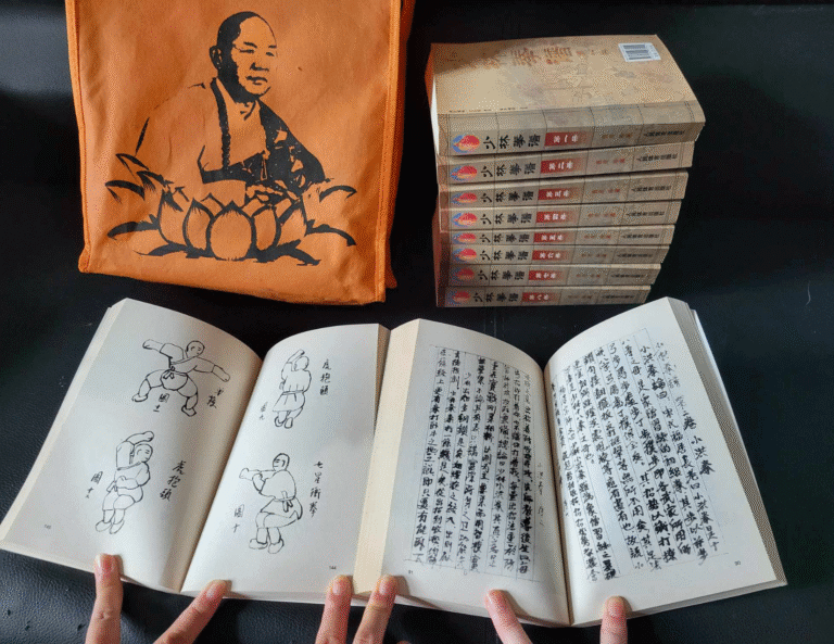 shi de qian shaolin quan pu 1