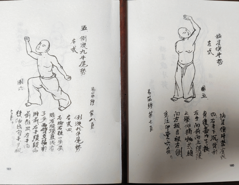 shi de qian shaolin quan pu 3