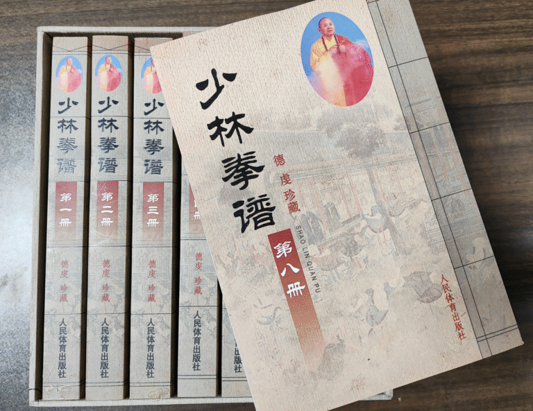 shi de qian shaolin quan pu 4