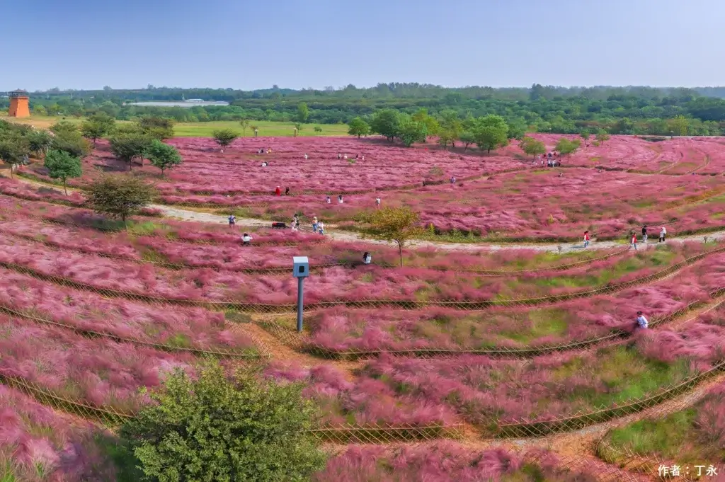 Huating Flower fields
