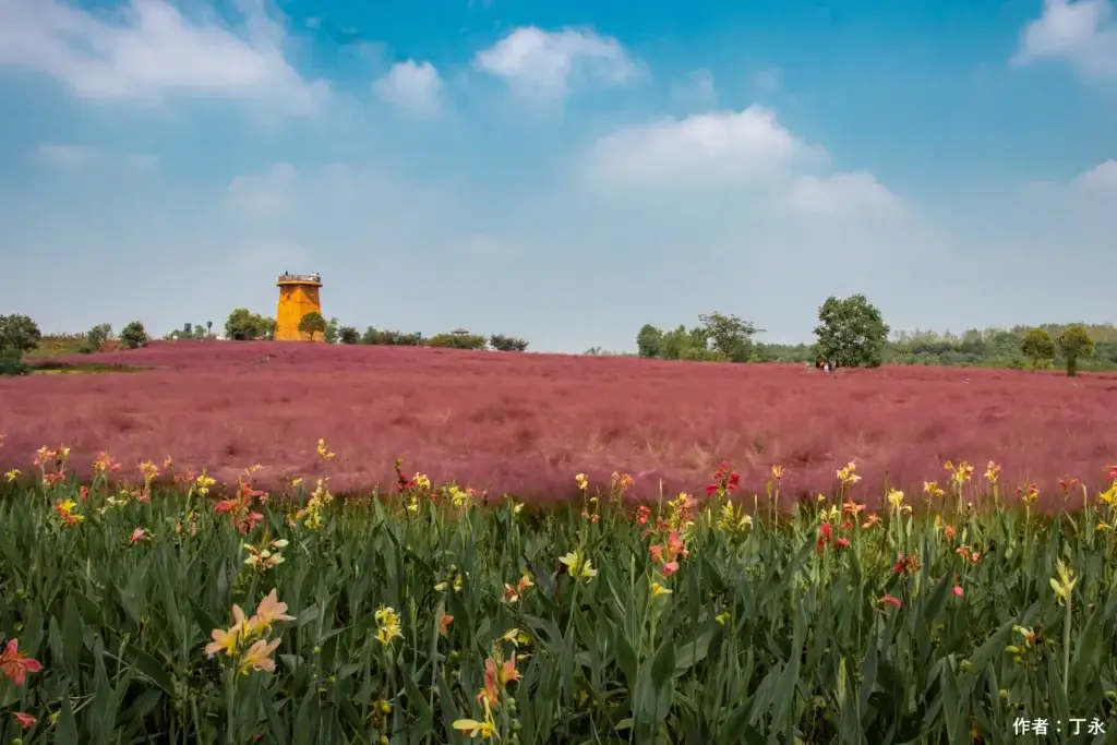 Huating flower field