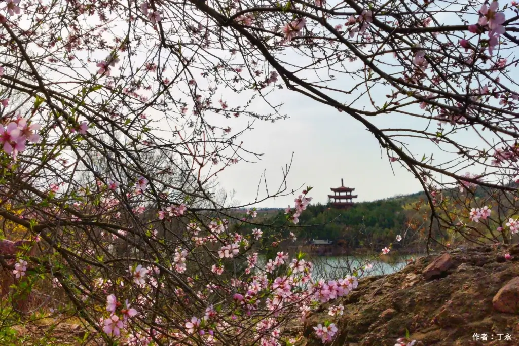 Maling Park flowers and pagoda